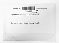 Image Associated With the Occurrence